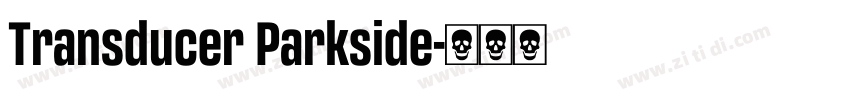 Transducer Parkside字体转换